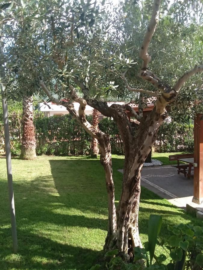 Villa Agata Forchia Екстериор снимка